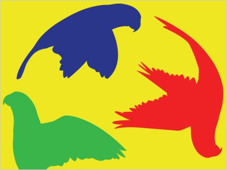 Lory Conservation Network