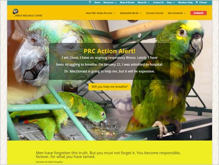 Parrot Resource Centre
